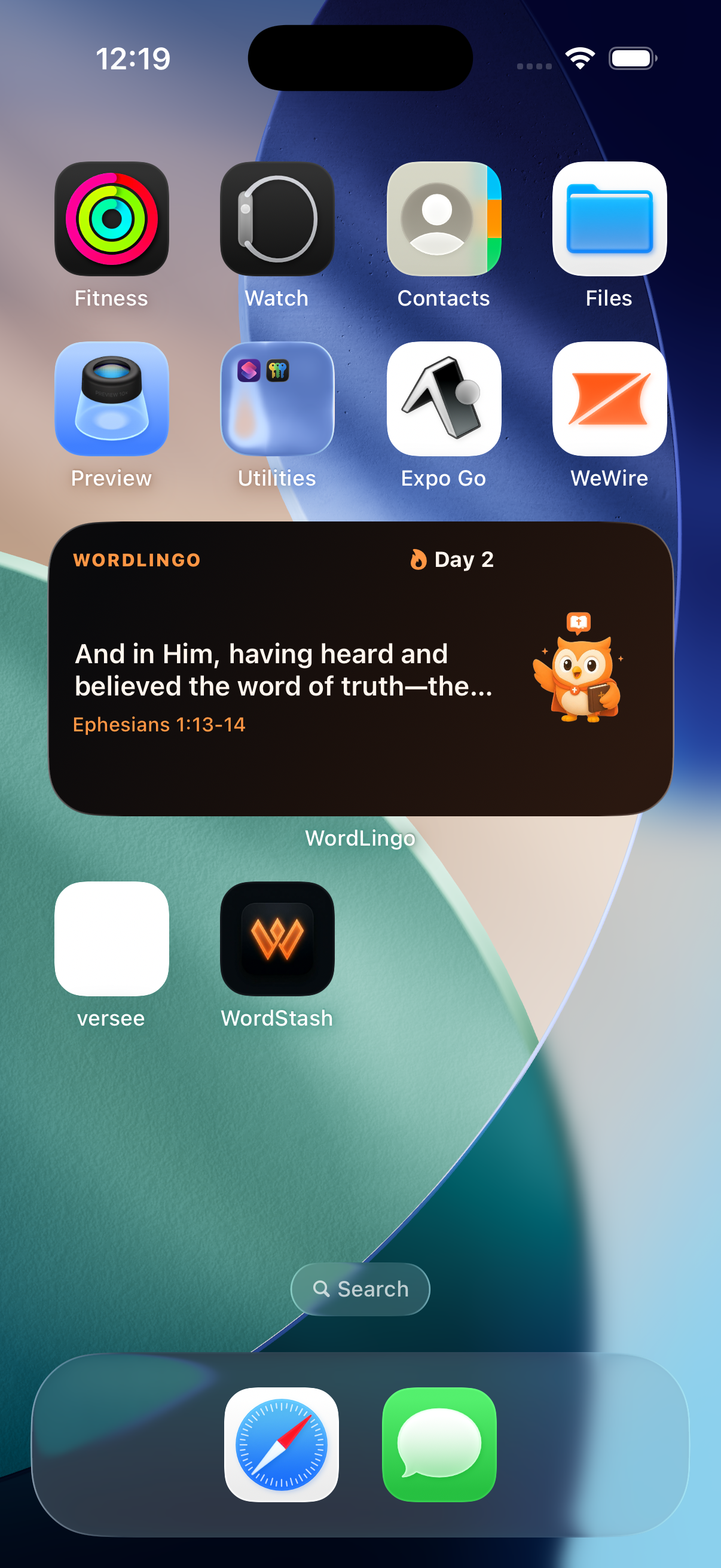 WordLingo screenshot 9