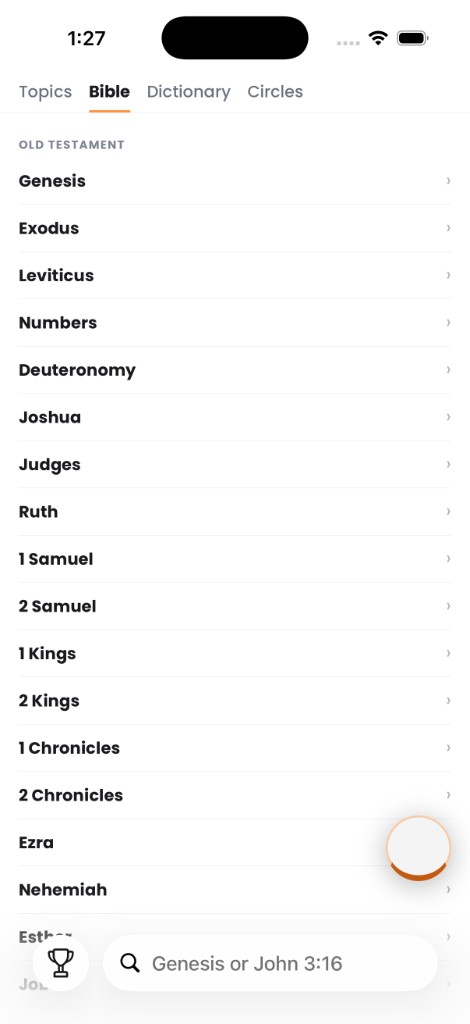 WordLingo screenshot 10